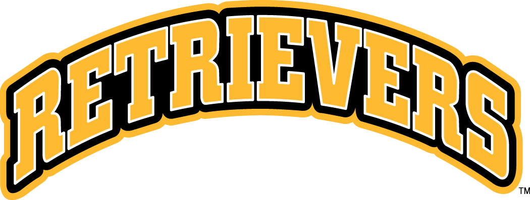 UMBC Retrievers 2010-Pres Wordmark Logo 06 iron on paper